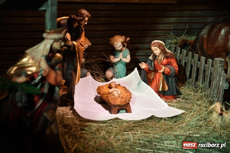 Zdjęcie w galerii na portalu naszraciborz.pl: Raciborskie stajenki AD 2018  wiadomości z regionu