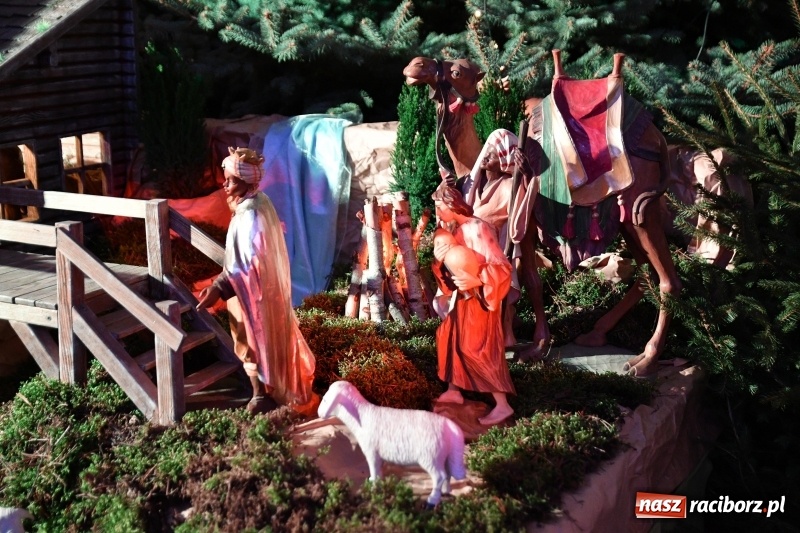 Zdjęcie w galerii na portalu naszraciborz.pl: Raciborskie stajenki AD 2018  wiadomości z regionu