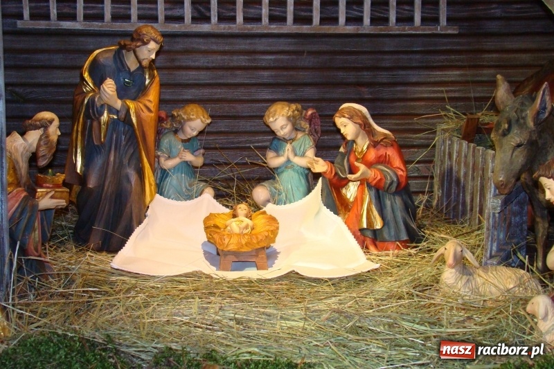 Zdjęcie w galerii na portalu naszraciborz.pl: Raciborskie stajenki AD 2018  wiadomości z regionu