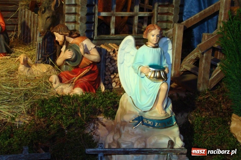 Zdjęcie w galerii na portalu naszraciborz.pl: Raciborskie stajenki AD 2018  wiadomości z regionu