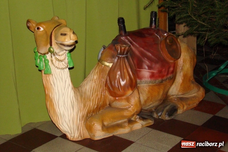 Zdjęcie w galerii na portalu naszraciborz.pl: Raciborskie stajenki AD 2018  wiadomości z regionu