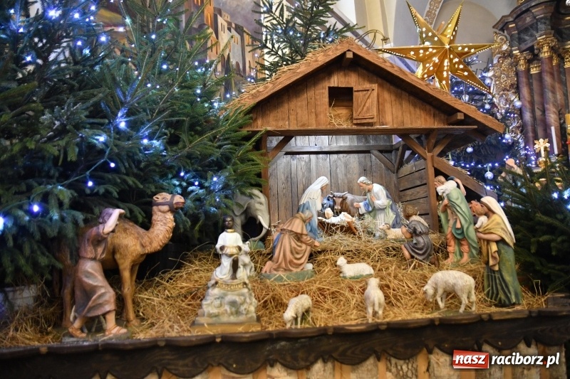 Zdjęcie w galerii na portalu naszraciborz.pl: Raciborskie stajenki AD 2018  wiadomości z regionu