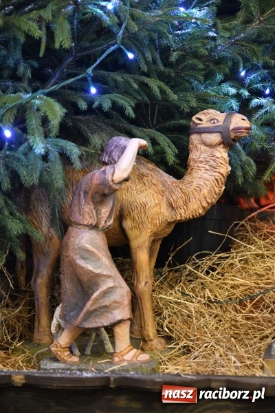 Zdjęcie w galerii na portalu naszraciborz.pl: Raciborskie stajenki AD 2018  wiadomości z regionu