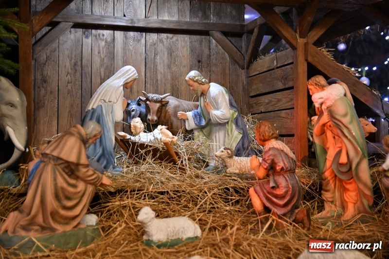 Zdjęcie w galerii na portalu naszraciborz.pl: Raciborskie stajenki AD 2018  wiadomości z regionu