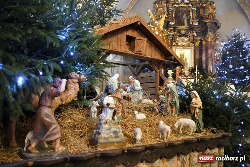 Zdjęcie w galerii na portalu naszraciborz.pl: Raciborskie stajenki AD 2018  wiadomości z regionu