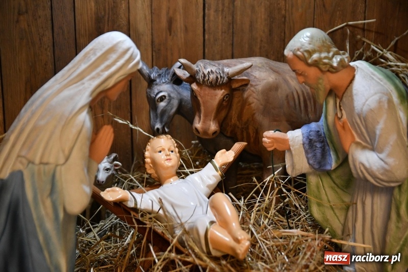 Zdjęcie w galerii na portalu naszraciborz.pl: Raciborskie stajenki AD 2018  wiadomości z regionu