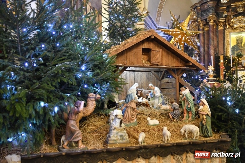 Zdjęcie w galerii na portalu naszraciborz.pl: Raciborskie stajenki AD 2018  wiadomości z regionu