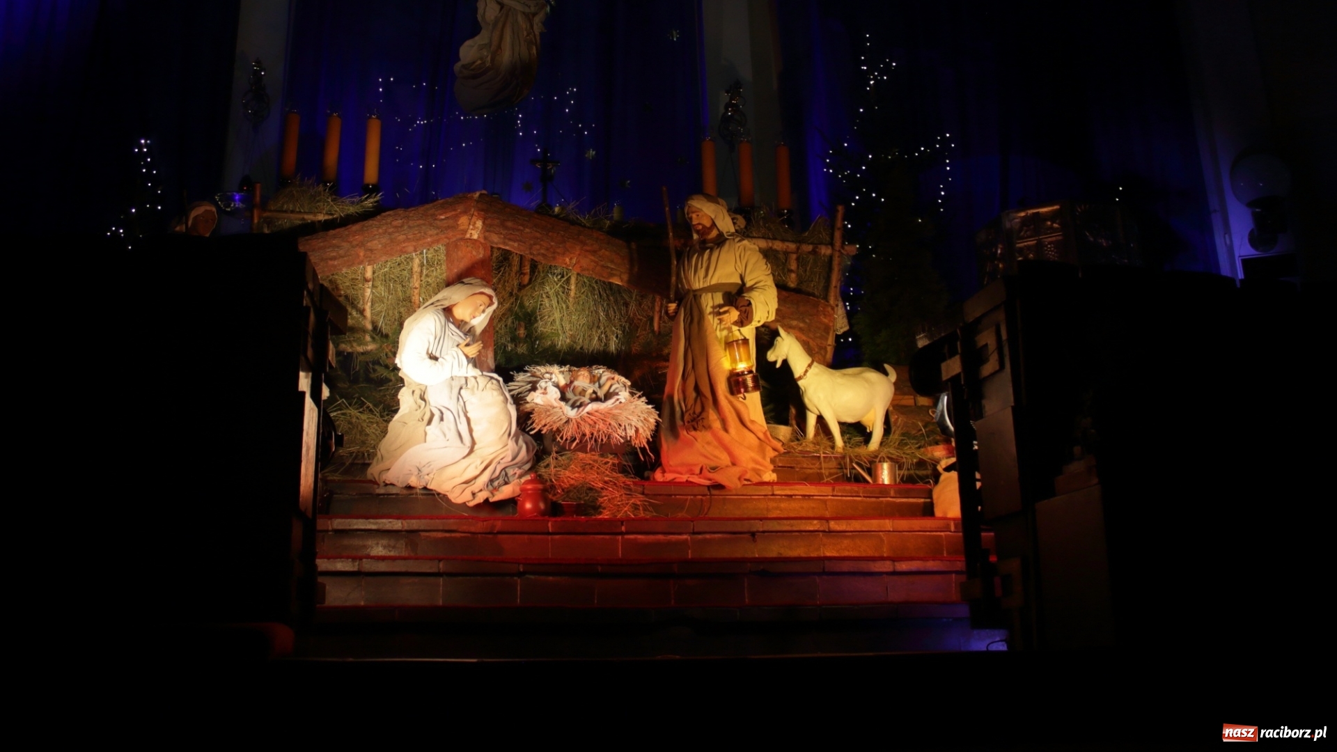 Zdjęcie w galerii na portalu naszraciborz.pl: Cudowna, święta noc w raciborskich kościołach wiadomości z regionu