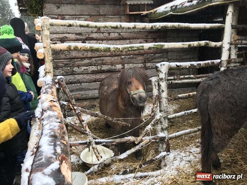 Zdjęcie w galerii na portalu naszraciborz.pl: Parafia Racibórz Brzezie zaprasza do kolędowania przy żywej stajence FOTO i WIDEO wiadomości z regionu