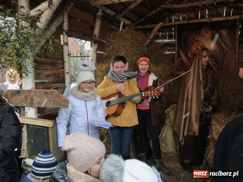 Zdjęcie w galerii na portalu naszraciborz.pl: Parafia Racibórz Brzezie zaprasza do kolędowania przy żywej stajence FOTO i WIDEO wiadomości z regionu