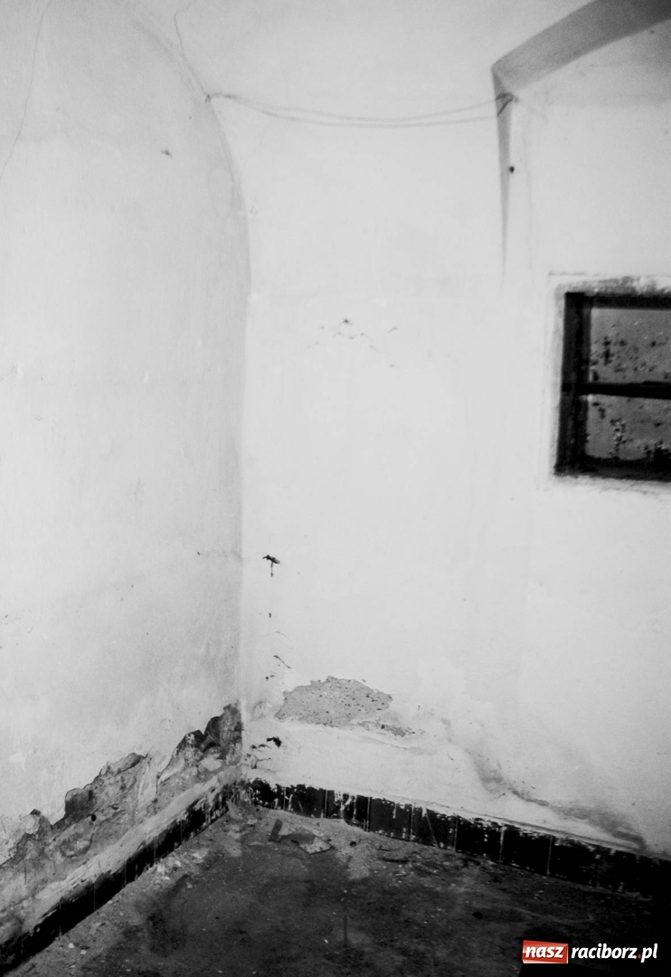 Zdjęcie w galerii na portalu naszraciborz.pl: Wojnowicki skarbiec rodziny von Banck  wiadomości z regionu