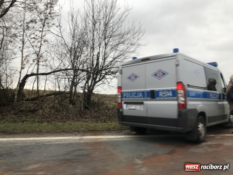 Zdjęcie w galerii na portalu naszraciborz.pl: Pożar w Górkach Ślaskich, dwa zderzenia na Kozielskiej, zagrożenie czadem  wiadomości z regionu