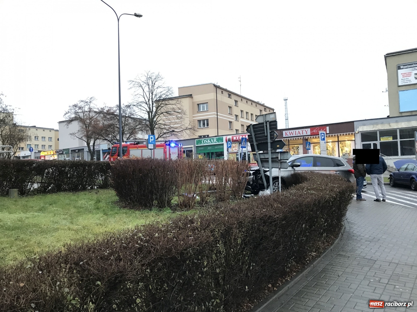 Zdjęcie w galerii na portalu naszraciborz.pl: Kierowca passata wymusił pierwszeństwo. Kia w żywopłocie  wiadomości z regionu