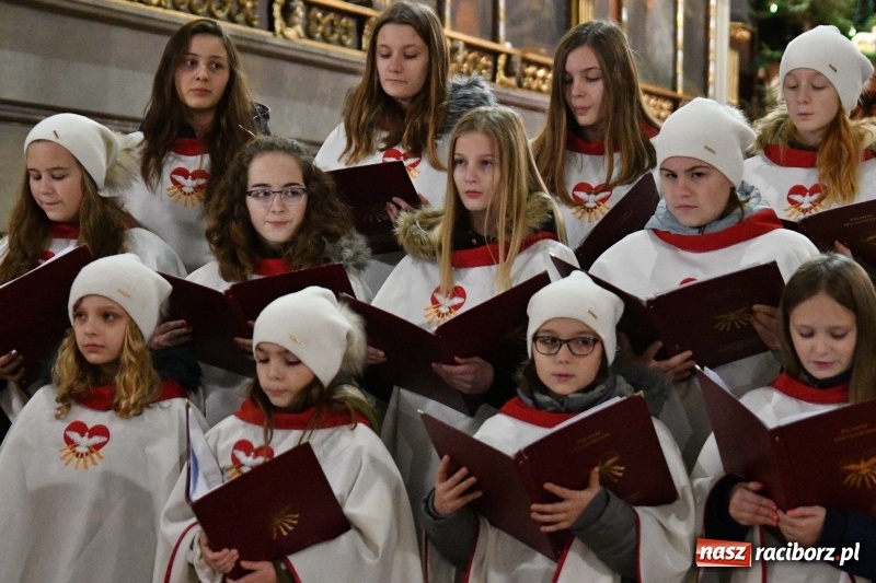Zdjęcie w galerii na portalu naszraciborz.pl: Kolędy i pastorałki zabrzmiały w świątyni farnej wiadomości z regionu