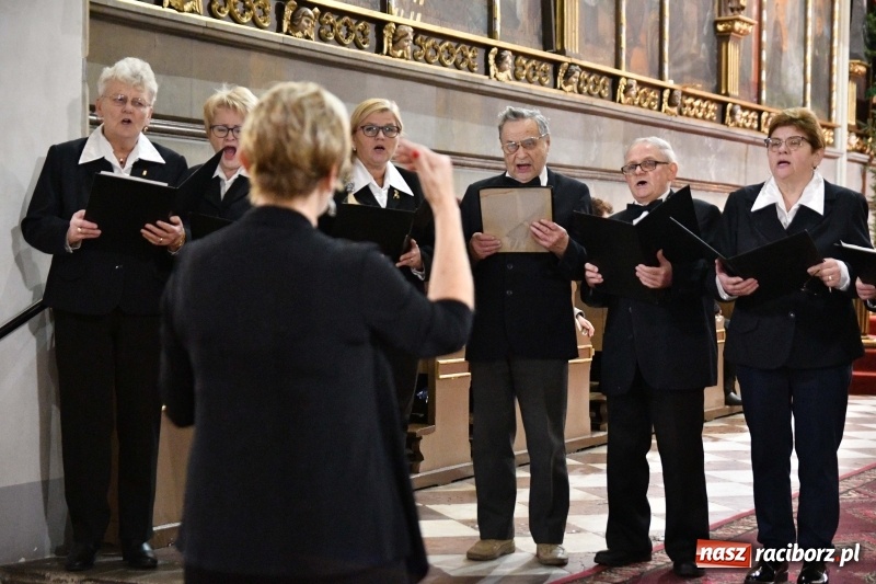 Zdjęcie w galerii na portalu naszraciborz.pl: Kolędy i pastorałki zabrzmiały w świątyni farnej wiadomości z regionu