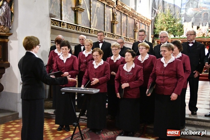 Zdjęcie w galerii na portalu naszraciborz.pl: Kolędy i pastorałki zabrzmiały w świątyni farnej wiadomości z regionu