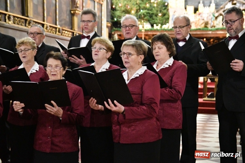 Zdjęcie w galerii na portalu naszraciborz.pl: Kolędy i pastorałki zabrzmiały w świątyni farnej wiadomości z regionu