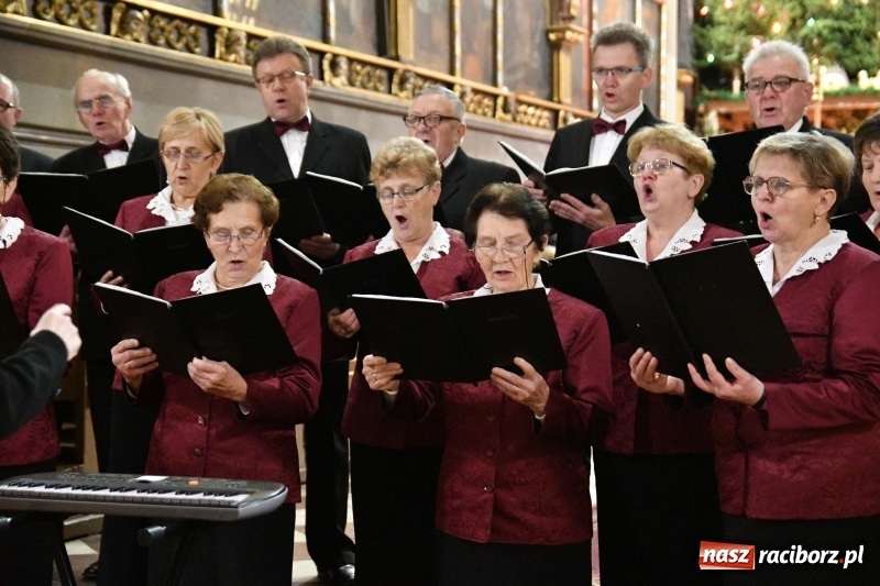 Zdjęcie w galerii na portalu naszraciborz.pl: Kolędy i pastorałki zabrzmiały w świątyni farnej wiadomości z regionu