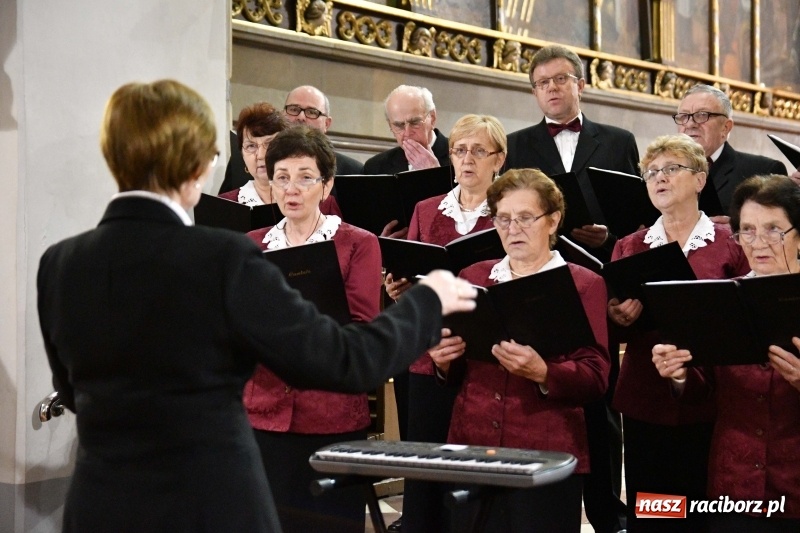 Zdjęcie w galerii na portalu naszraciborz.pl: Kolędy i pastorałki zabrzmiały w świątyni farnej wiadomości z regionu