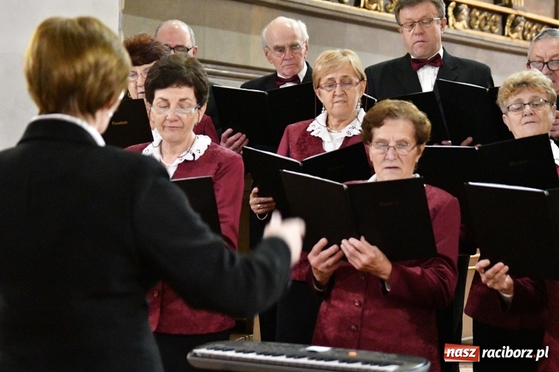Zdjęcie w galerii na portalu naszraciborz.pl: Kolędy i pastorałki zabrzmiały w świątyni farnej wiadomości z regionu