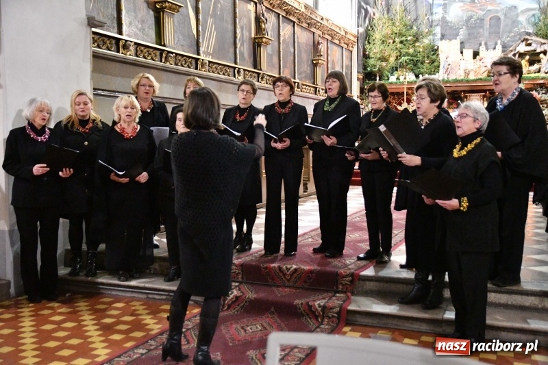 Zdjęcie w galerii na portalu naszraciborz.pl: Kolędy i pastorałki zabrzmiały w świątyni farnej wiadomości z regionu