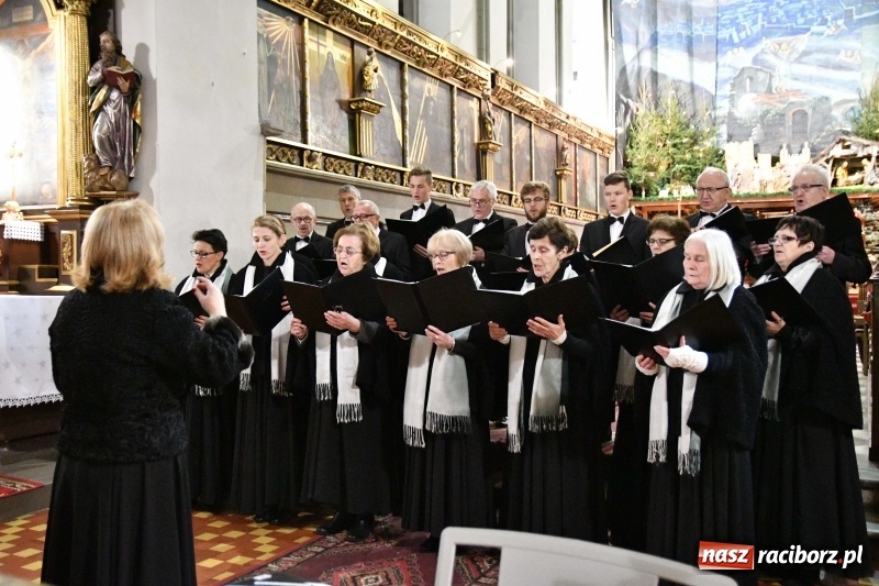 Zdjęcie w galerii na portalu naszraciborz.pl: Kolędy i pastorałki zabrzmiały w świątyni farnej wiadomości z regionu