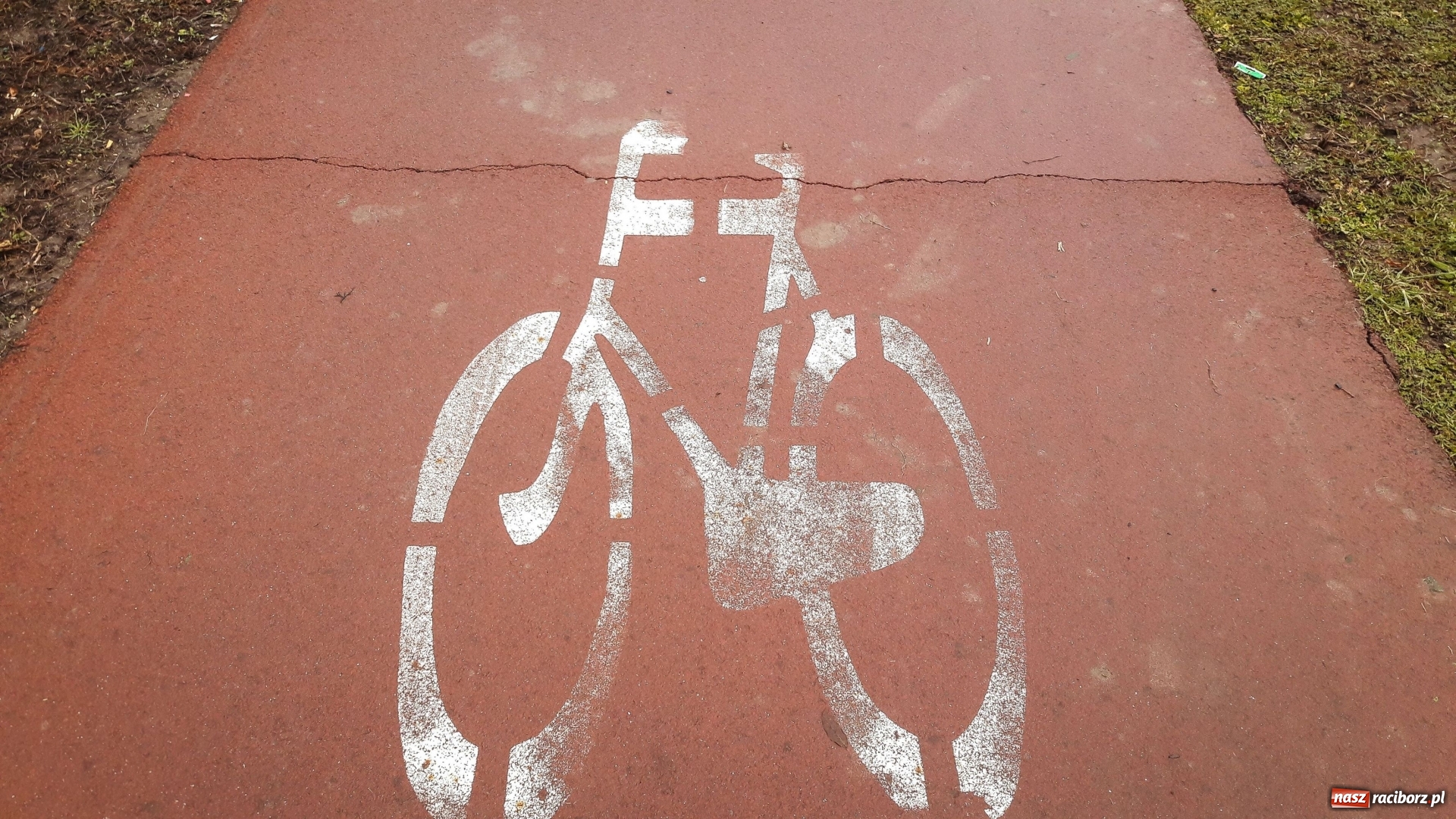 Zdjęcie w galerii na portalu naszraciborz.pl: Sypie się ścieżka rowerowa wzdłuż Odry  wiadomości z regionu