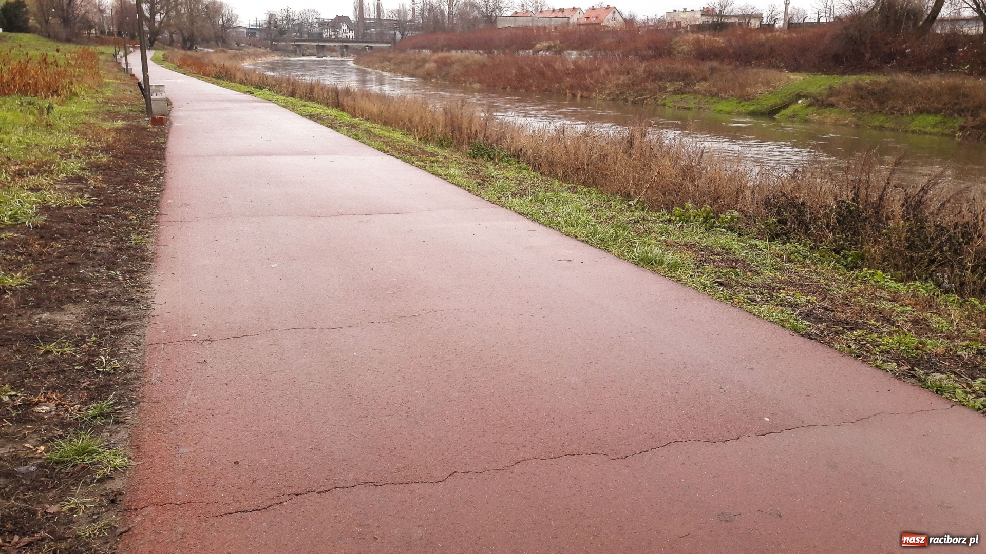 Zdjęcie w galerii na portalu naszraciborz.pl: Sypie się ścieżka rowerowa wzdłuż Odry  wiadomości z regionu