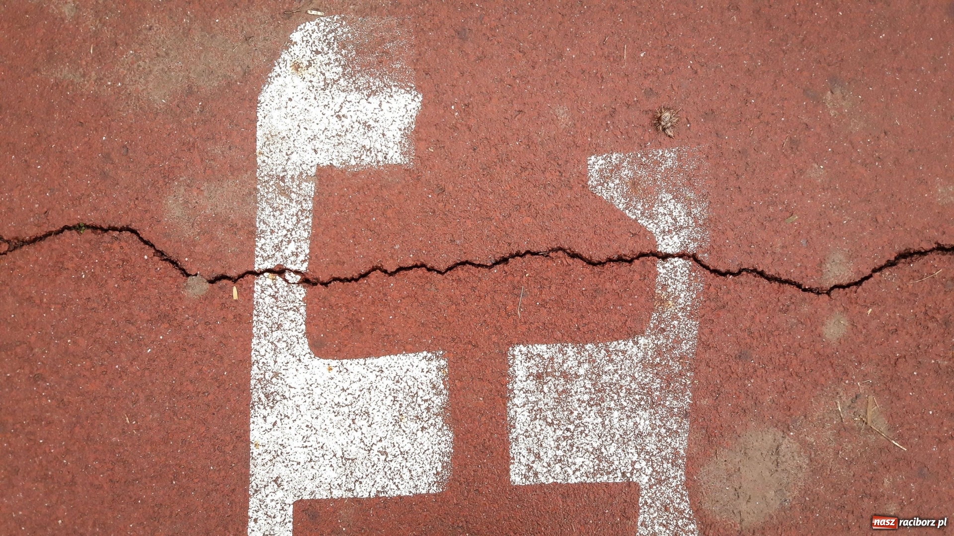 Zdjęcie w galerii na portalu naszraciborz.pl: Sypie się ścieżka rowerowa wzdłuż Odry  wiadomości z regionu