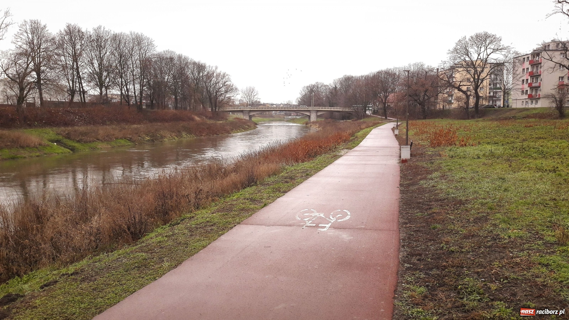 Zdjęcie w galerii na portalu naszraciborz.pl: Sypie się ścieżka rowerowa wzdłuż Odry  wiadomości z regionu