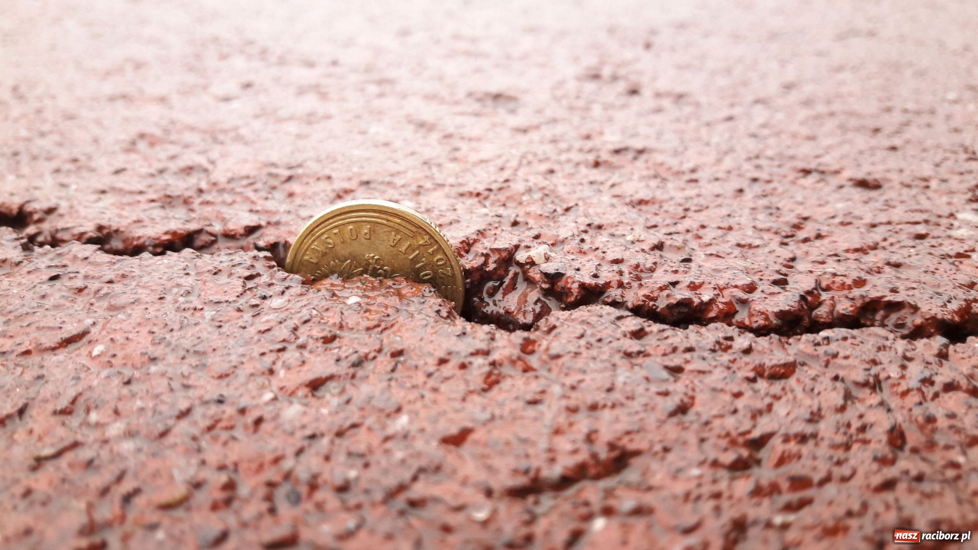 Zdjęcie w galerii na portalu naszraciborz.pl: Sypie się ścieżka rowerowa wzdłuż Odry  wiadomości z regionu