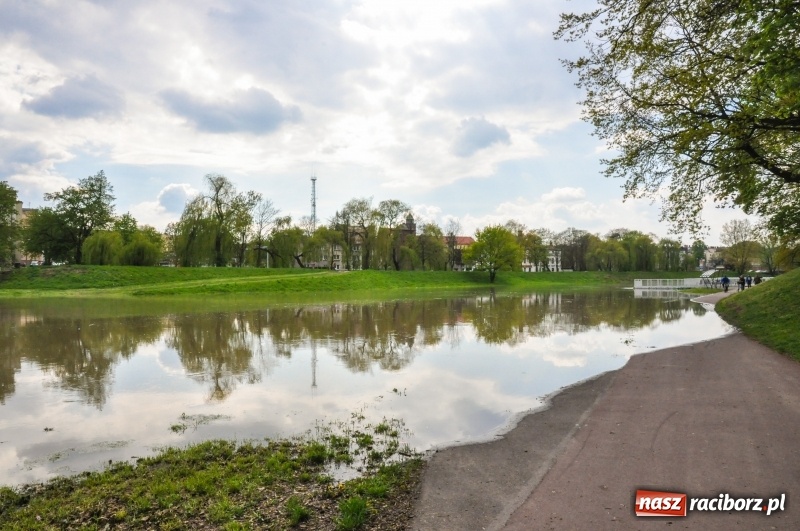 Zdjęcie w galerii na portalu naszraciborz.pl: Sypie się ścieżka rowerowa wzdłuż Odry  wiadomości z regionu