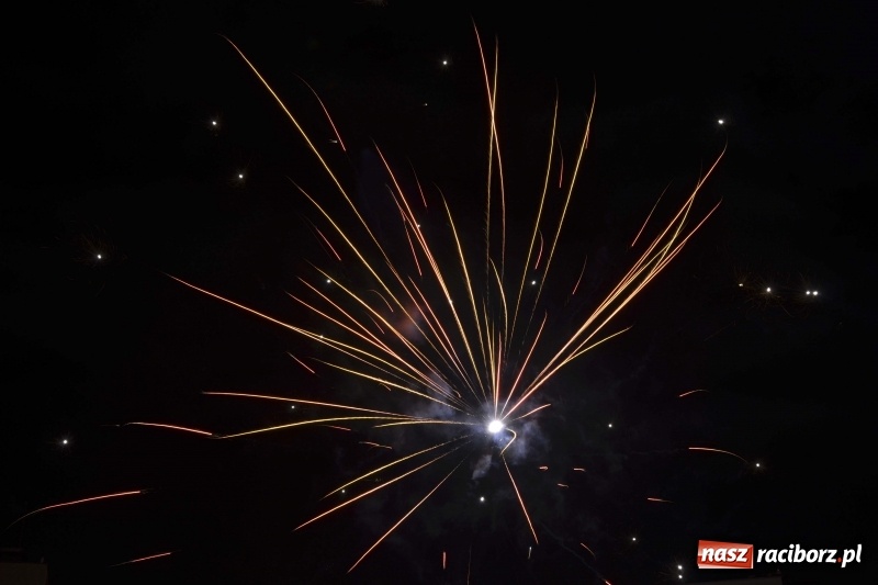 Zdjęcie w galerii na portalu naszraciborz.pl: Sylwester bez fajerwerków. Prezydent popiera apel, ale sam postrzela w bezpiecznej odległości wiadomości z regionu