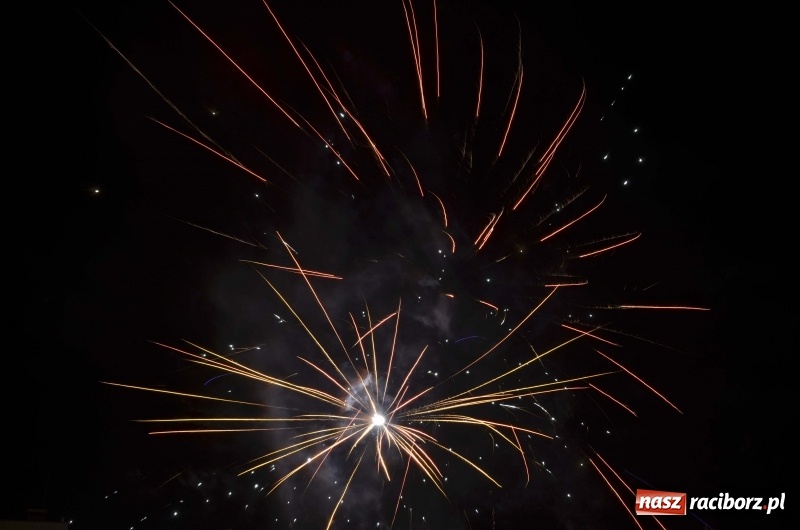 Zdjęcie w galerii na portalu naszraciborz.pl: Sylwester bez fajerwerków. Prezydent popiera apel, ale sam postrzela w bezpiecznej odległości wiadomości z regionu