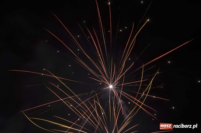 Zdjęcie w galerii na portalu naszraciborz.pl: Sylwester bez fajerwerków. Prezydent popiera apel, ale sam postrzela w bezpiecznej odległości wiadomości z regionu