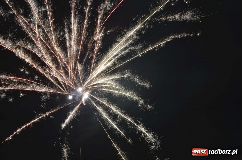 Zdjęcie w galerii na portalu naszraciborz.pl: Sylwester bez fajerwerków. Prezydent popiera apel, ale sam postrzela w bezpiecznej odległości wiadomości z regionu