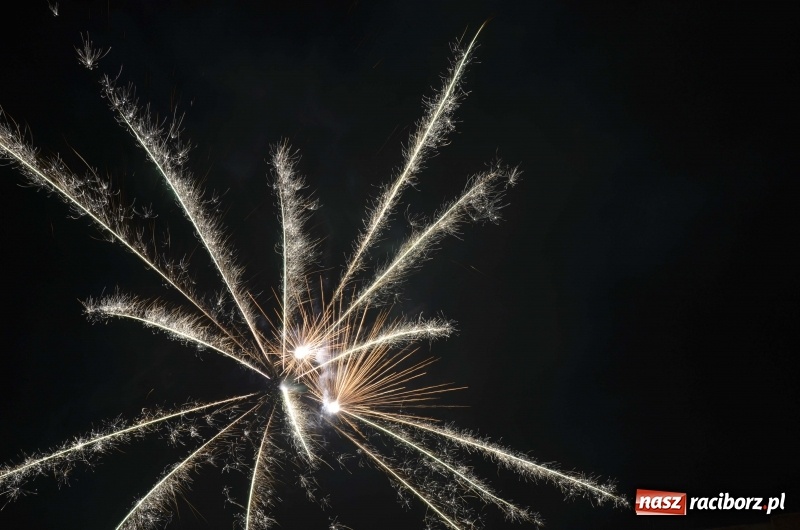 Zdjęcie w galerii na portalu naszraciborz.pl: Sylwester bez fajerwerków. Prezydent popiera apel, ale sam postrzela w bezpiecznej odległości wiadomości z regionu