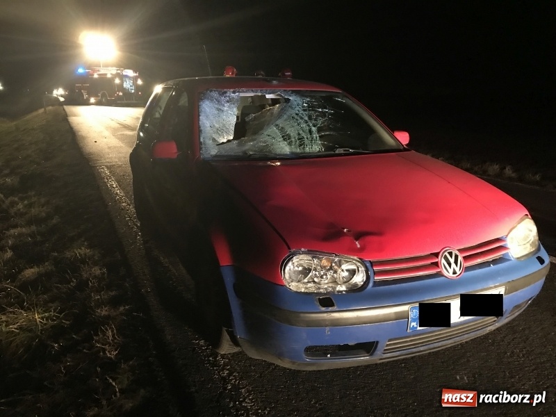 Zdjęcie w galerii na portalu naszraciborz.pl: Wypadek na drodze Racibórz-Lekartów. Sprawcą pijany pieszy FOTO  wiadomości z regionu