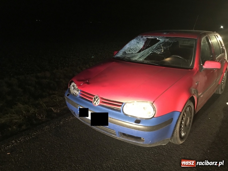 Zdjęcie w galerii na portalu naszraciborz.pl: Wypadek na drodze Racibórz-Lekartów. Sprawcą pijany pieszy FOTO  wiadomości z regionu