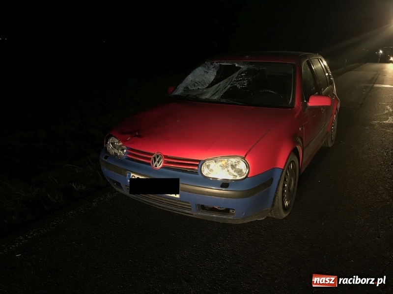 Zdjęcie w galerii na portalu naszraciborz.pl: Wypadek na drodze Racibórz-Lekartów. Sprawcą pijany pieszy FOTO  wiadomości z regionu