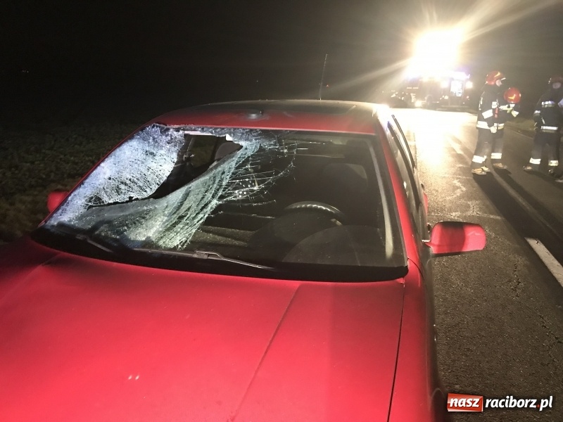 Zdjęcie w galerii na portalu naszraciborz.pl: Wypadek na drodze Racibórz-Lekartów. Sprawcą pijany pieszy FOTO  wiadomości z regionu