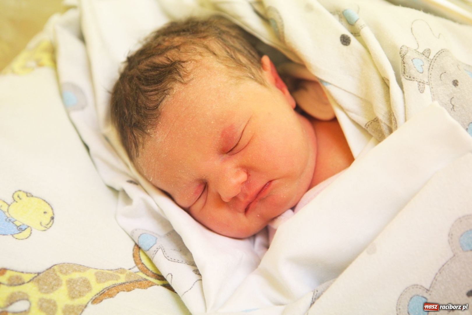 Zdjęcie w galerii na portalu naszraciborz.pl: Przedstawiamy Lenkę ze Sławikowa. To pierwsze dziecko urodzone w Raciborzu w 2019 roku  wiadomości z regionu