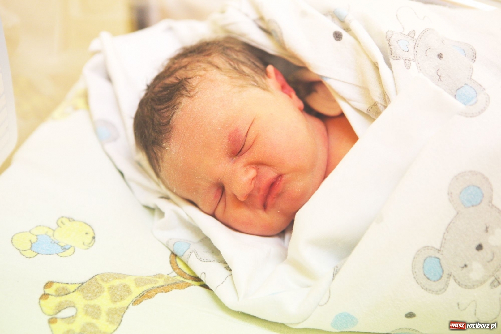 Zdjęcie w galerii na portalu naszraciborz.pl: Przedstawiamy Lenkę ze Sławikowa. To pierwsze dziecko urodzone w Raciborzu w 2019 roku  wiadomości z regionu
