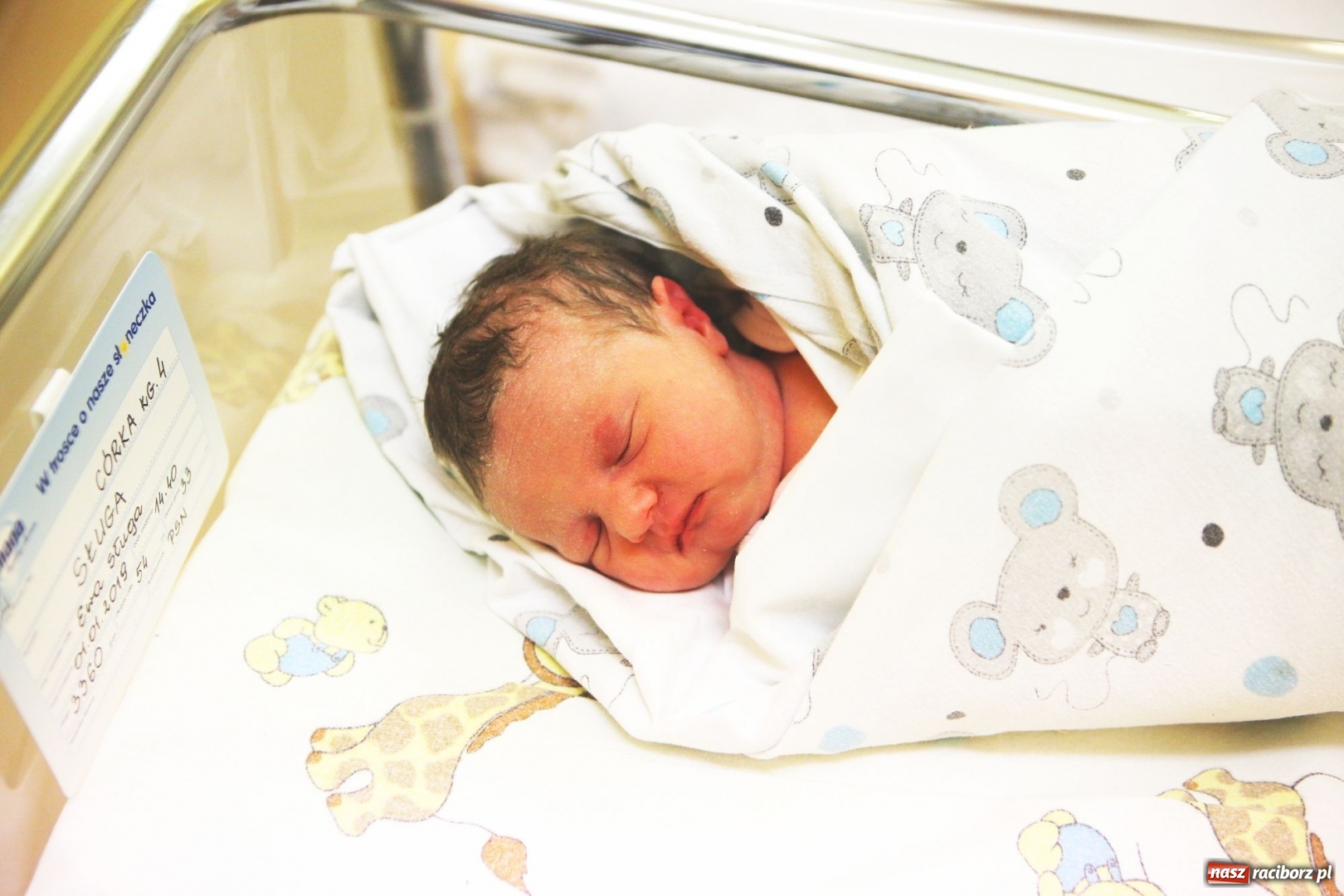 Zdjęcie w galerii na portalu naszraciborz.pl: Przedstawiamy Lenkę ze Sławikowa. To pierwsze dziecko urodzone w Raciborzu w 2019 roku  wiadomości z regionu