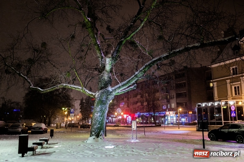 Zdjęcie w galerii na portalu naszraciborz.pl: Służby zapowiadają pierwsze tej zimy opady śniegu. Miasto przygotowane do akcji Zima wiadomości z regionu
