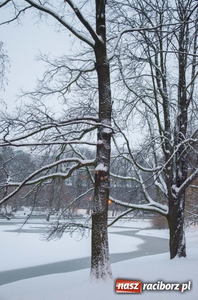 Zdjęcie w galerii na portalu naszraciborz.pl: Służby zapowiadają pierwsze tej zimy opady śniegu. Miasto przygotowane do akcji Zima wiadomości z regionu