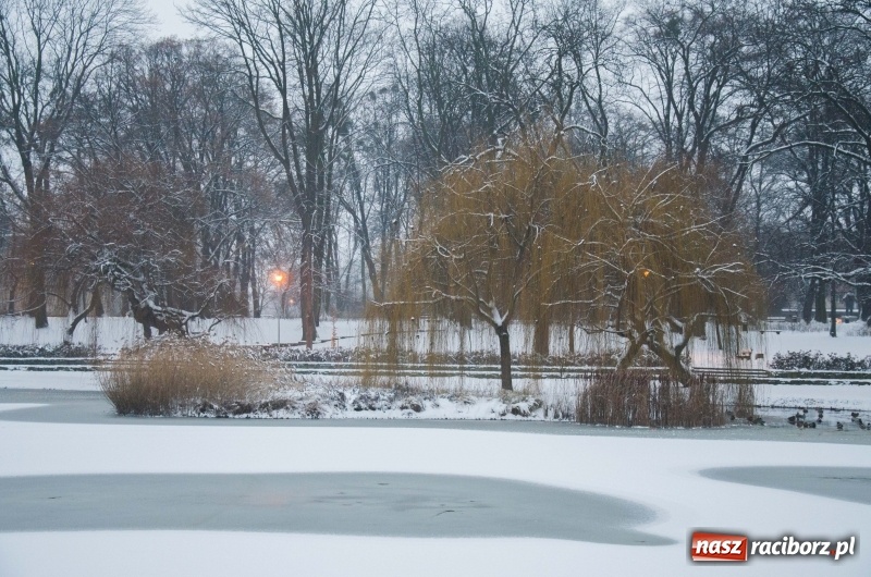 Zdjęcie w galerii na portalu naszraciborz.pl: Służby zapowiadają pierwsze tej zimy opady śniegu. Miasto przygotowane do akcji Zima wiadomości z regionu