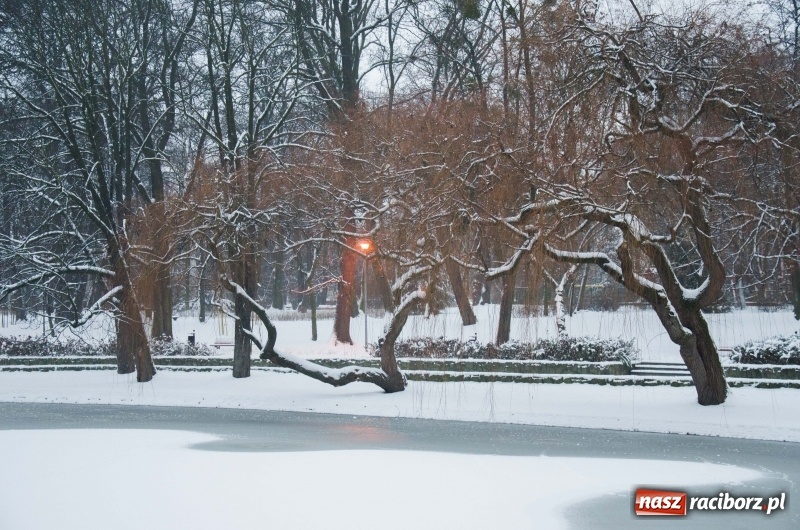 Zdjęcie w galerii na portalu naszraciborz.pl: Służby zapowiadają pierwsze tej zimy opady śniegu. Miasto przygotowane do akcji Zima wiadomości z regionu