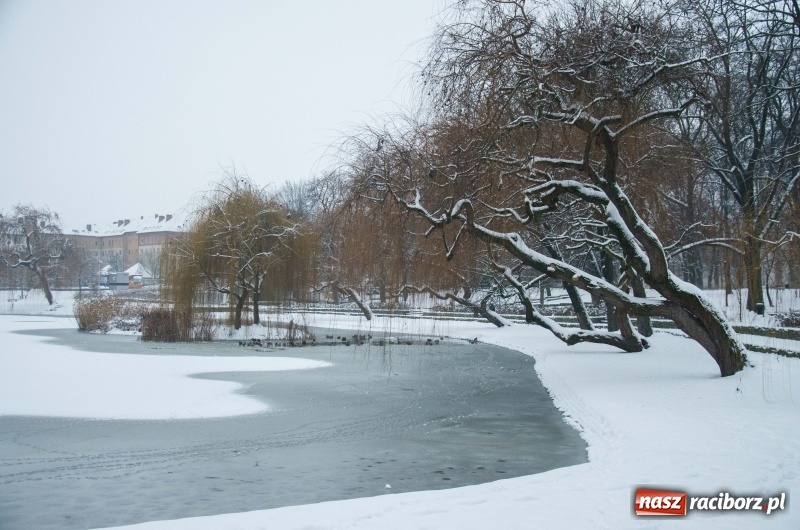 Zdjęcie w galerii na portalu naszraciborz.pl: Służby zapowiadają pierwsze tej zimy opady śniegu. Miasto przygotowane do akcji Zima wiadomości z regionu