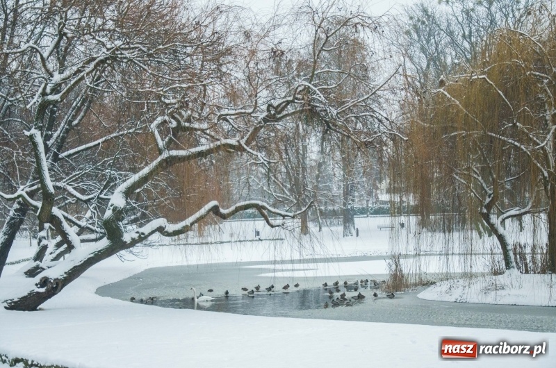 Zdjęcie w galerii na portalu naszraciborz.pl: Służby zapowiadają pierwsze tej zimy opady śniegu. Miasto przygotowane do akcji Zima wiadomości z regionu